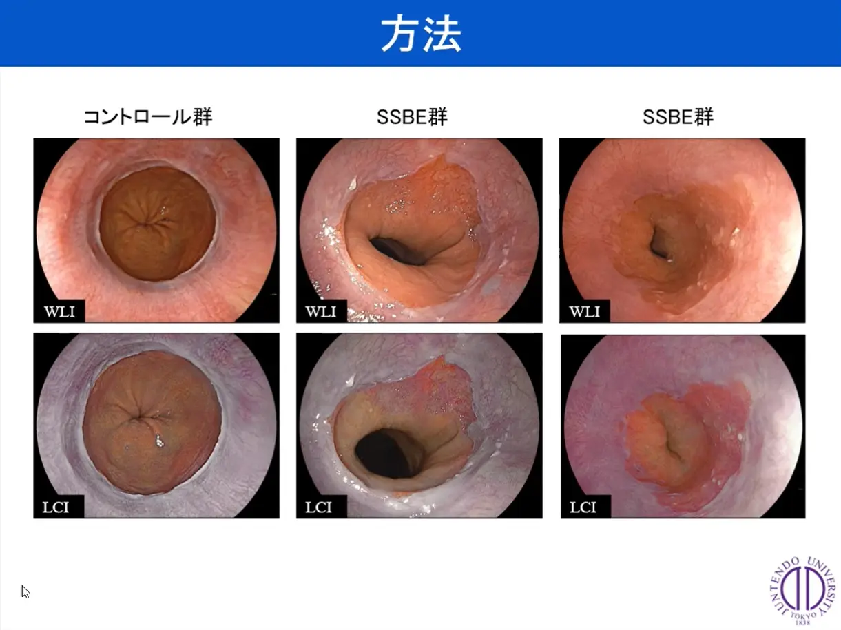 図1　今回使用した代表的な症例画像